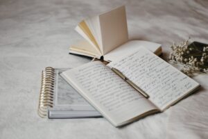 Find the Perfect Journals & Diaries for Writing