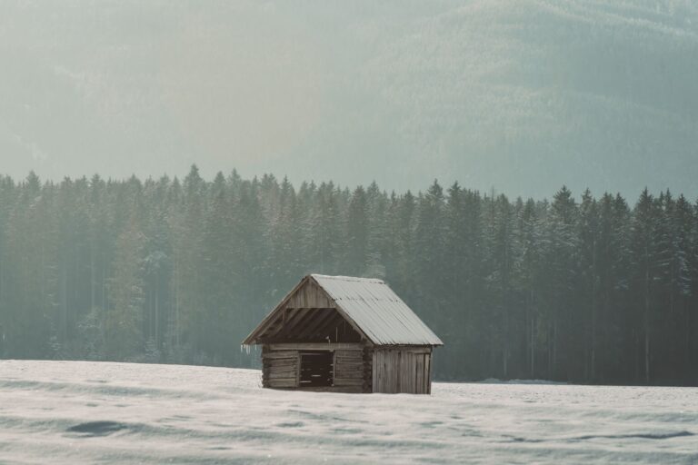 The Frozen Charm of the World Sauna Championships - weirdcalendar