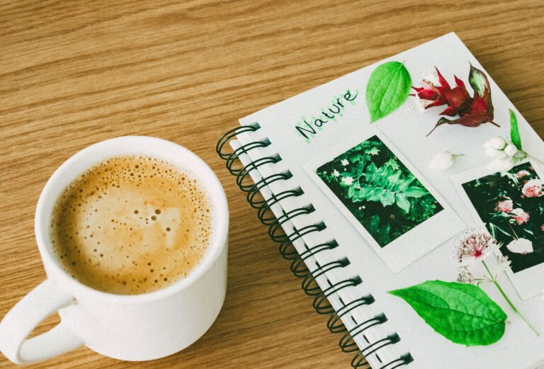 Unconventional Daily Habits to Boost Creativity and Mental Clarity This Year - weirdcalendar