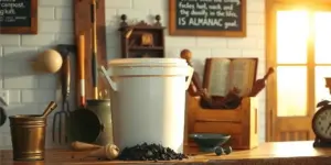 Bokashi vs. Traditional Composting: A Complete 2026 Guide